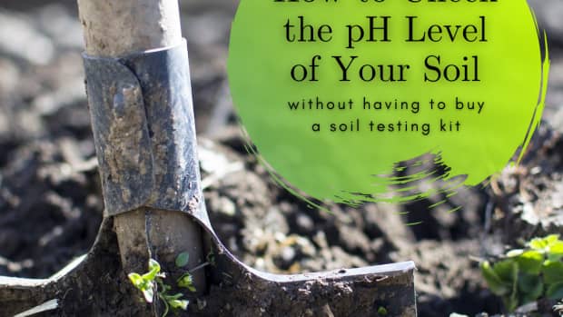 how-to-check-your-soil-without-purchasing-a-soil-testing-kit