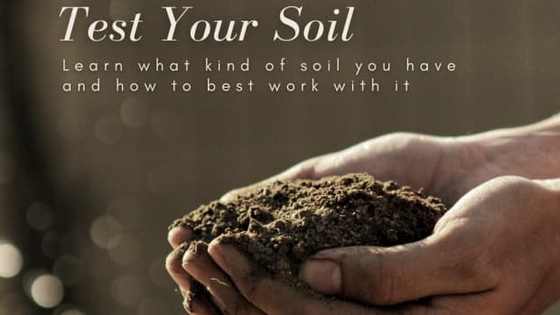 why-you-should-test-your-soil