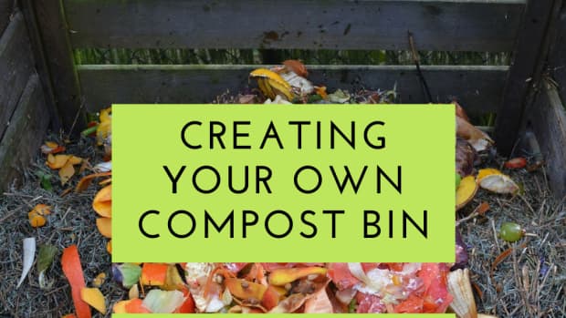 how-to-make-compost-at-home-a-practical-guide-to-building-your-own-compost-bin