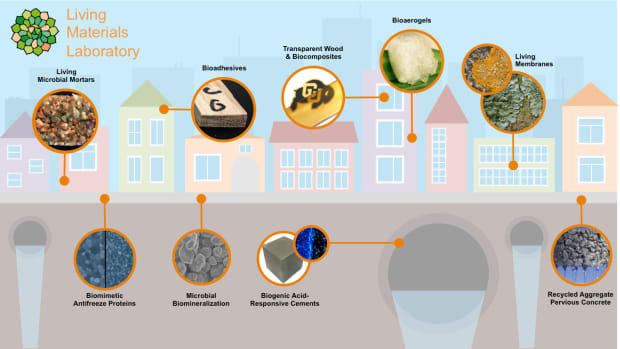 microbes-produce-sustainable-concrete-from-carbon-emissions