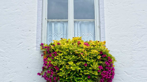 add-some-window-boxes-for-impact-and-charm