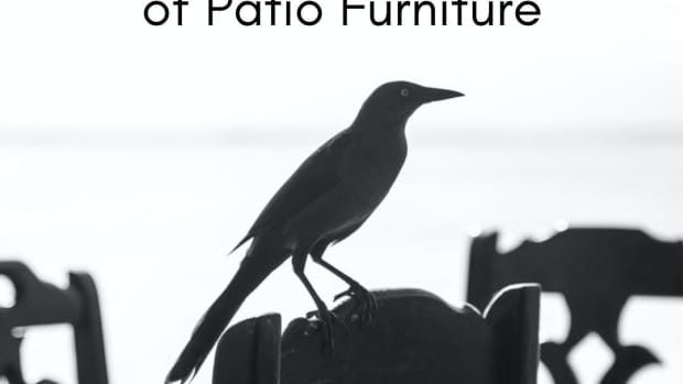 how-to-keep-birds-off-patio-furniture