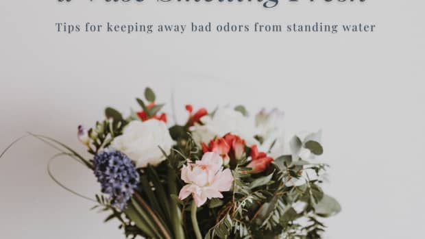 how-to-prevent-bad-odors-from-the-standing-water-in-a-flower-vase