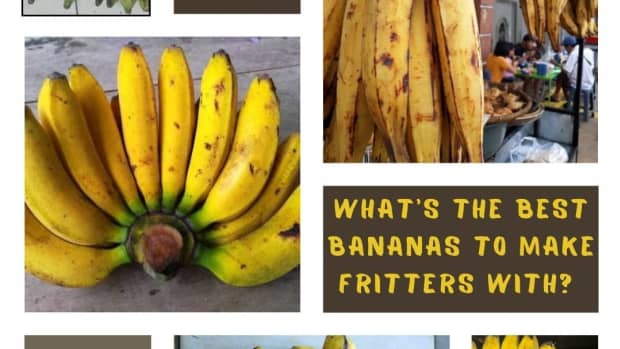 which-banana-varieties-are-suitable-for-banana-fritters