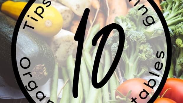 10-tips-for-growing-an-organic-vegetable-garden