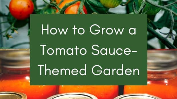 grow-a-spaghetti-sauce-theme-garden-in-a-4x-4-raised-bed