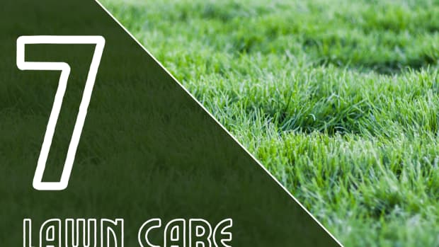 lawn-care-maintenance-tasks-for-fall
