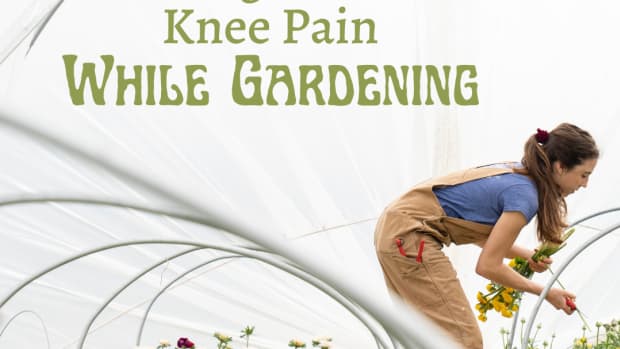 10-best-tips-for-preventing-and-reducing-knee-and-back-pain-in-the-garden