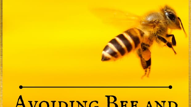 how-to-avoid-bee-and-wasp-stings