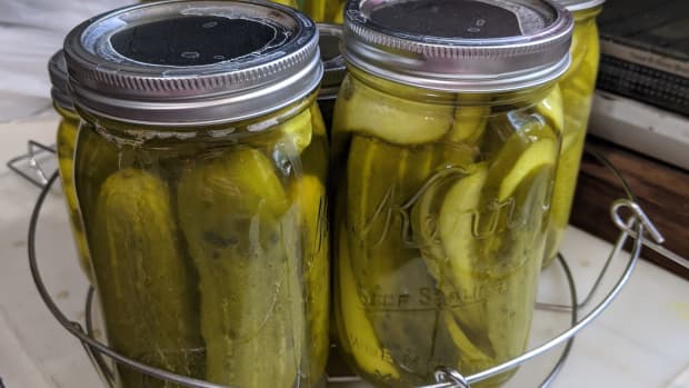 dill-pickles-canning-using-mrs-wages