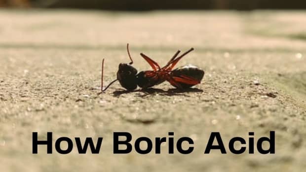 boric-acid-toxicity-table-sale-insecticide-sugar