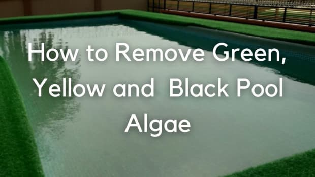 clearing-up-a-green-or-black-swimming-pool