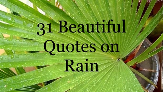 31-beautiful-rain-quotes-to-wash-away-the-pain