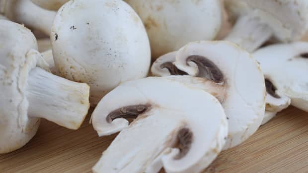 great-information-about-mushrooms