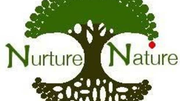nurture-nature-8-whys-to-protect-and-preserve-mother-earth