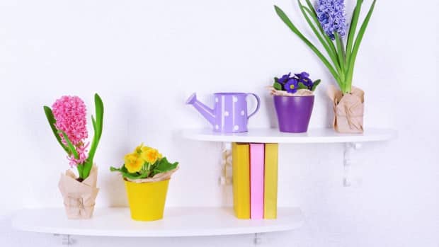5-unique-and-inexpensive-flower-vases-for-your-home