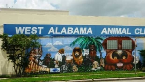 west-alabama-animal-clinic-mural-a-houston-eye-catcher