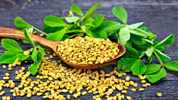 fenugreek-for-overall-health-and-well-being＂>
                       </picture>
                       <div class=