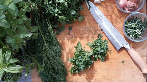 how-to-preserve-herbs-naturally-for-future-use