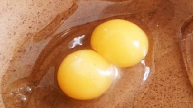 what-it-means-when-you-find-a-double-egg-yolk