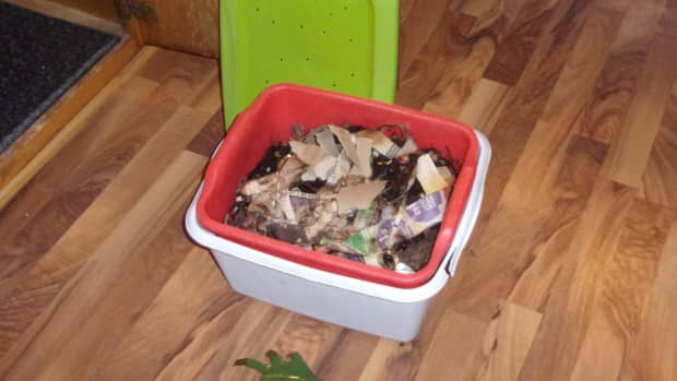 worm-composting-simplified