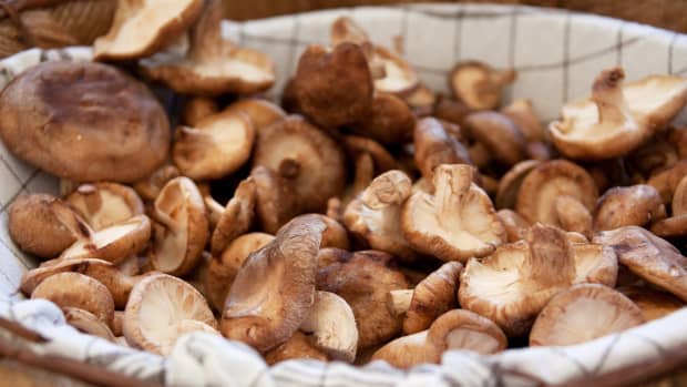 How to Sun-Dry and Preserve Mushrooms for a Year - Delishably