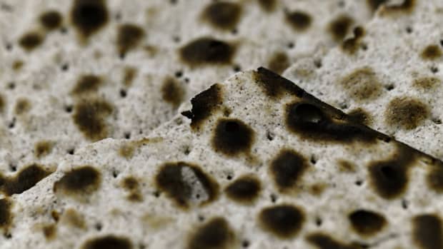 What Does Black Mold Look Like? – Forbes Home