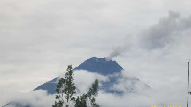 Thankful For Truth Letterpile