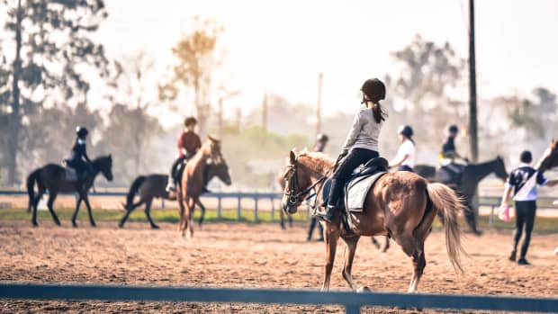 how-to-get-your-horse-ready-for-horse-riding-championships-and-races