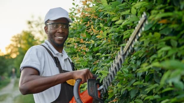 tree-trimming-how-to-prepare-your-trees-for-fall-and-winter