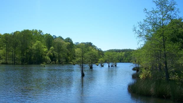White River, Arkansas: Fishing Guide for Trout - SkyAboveUs