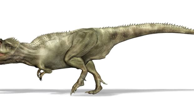 paleontologists-address-imminent-giganotosaurus-thats-entering-jurassic-world-dominion