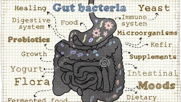 what-is-gut-health-and-why-is-it-important