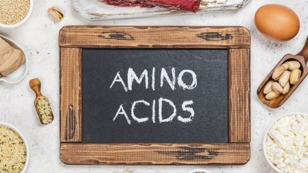 where-do-you-find-amino-acids