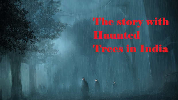 the-story-of-haunted-trees-in-india