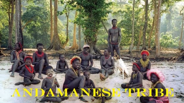 mysterious-andamanese-tribe-gives-up-secret-to-survival