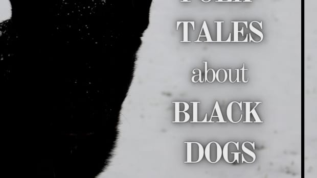 6-folktales-about-black-dogs