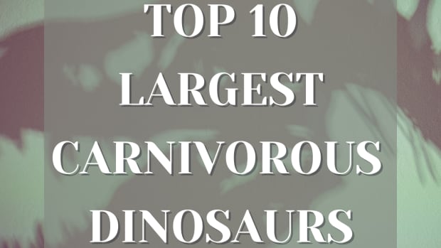 最大的carnivore-dinosaurs