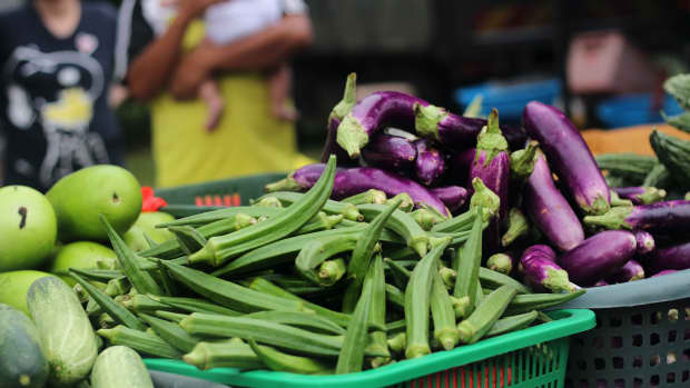 how-to-grow-grow-okra-for-a-bountiful-harvest-throughout-the-year