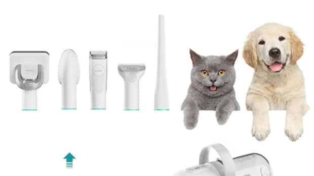 the-neabot-p1-pro-pet-grooming-makes-it-easy-to-groom-your-pet