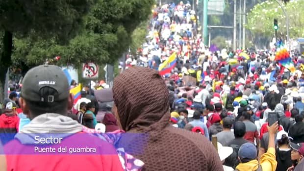 protest-report-ecuador