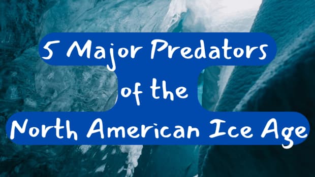 prehistoric-predators-of-ice-age-north-america