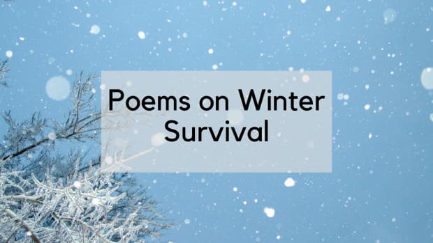 poems-on-winter-agony