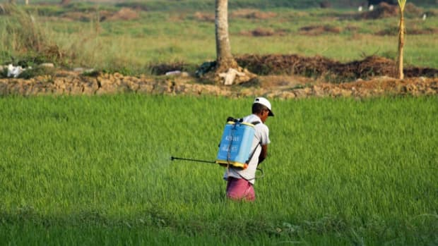 how-does-agricultural-pollution-affect-our-health-and-society