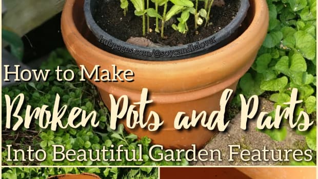broken-garden-pot-container-gardenscapes