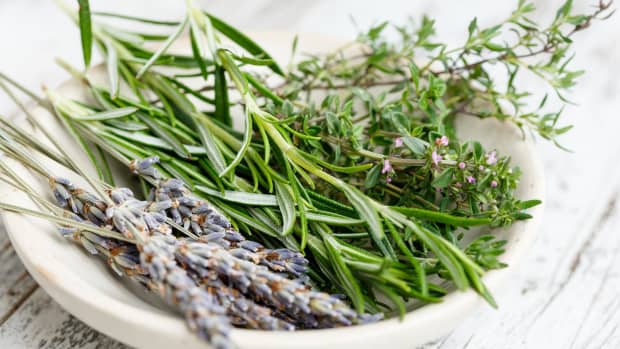 10-culinary-herbs-you-need-to-grow-and-dry-this-summer