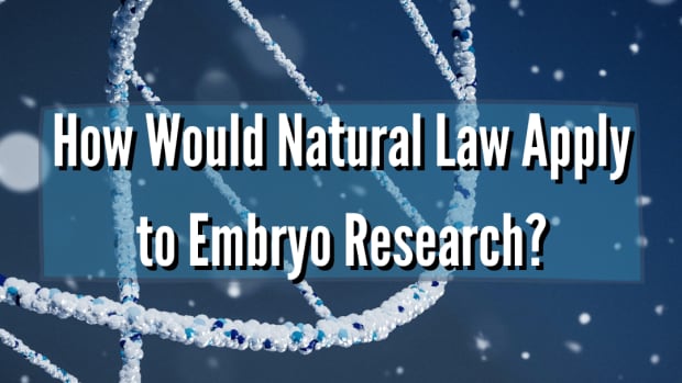 how-would-natural-law-apply-to-embryo-research