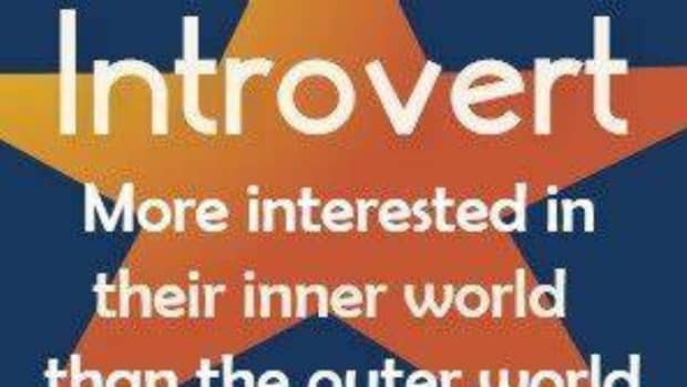 why-do-you-think-that-introverts-are-invisible