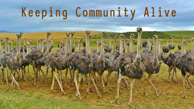 keeping-community-alive