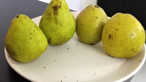 difference-between-nashpatiasian-pear-and-babugoshaeuropean-pear